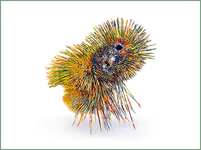 Buitenaards 2