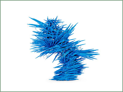Blue Bird
